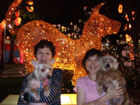 Outing with Mom and Doggies
